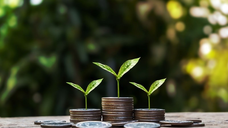 Zrównoważone inwestowanie: trendy i strategie